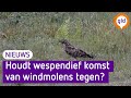 Petitie tegen windmolens; wespendief blokkeert duurzame energie