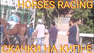 Download lagu ΣΆΒΒΑΣ  ΙΠΠΕΎΕΙ ΤΉΝ ΜΑΛΟΥ #КАК ПРОХОДЯТ СКАЧКИ НА КИПРЕ #HORSERACES NRC CYPRUS mp3
