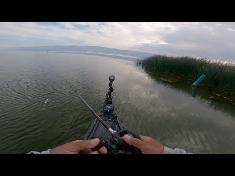 Comeback kayak tournament win? (Clear Lake ABA)