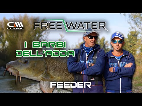 FRESH WATER MANIA - PUNTATA 8 - ROUBAISIENNE - PESCA ALLA CARPA IN LAGHETTO PRIMAVERILE