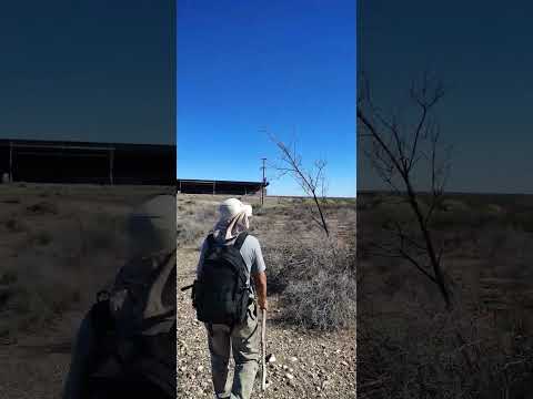 bodega Valle Perdido (abandonada)#casasabandonadas #misterio #bodegas #vino #patagonia#ruinas #valle