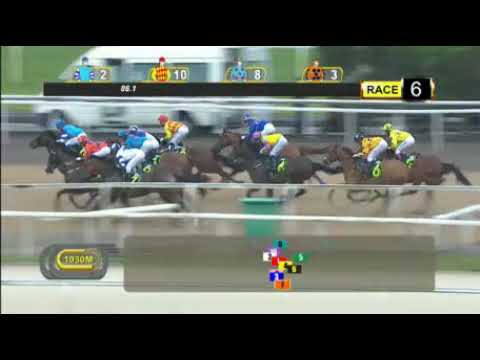 Lim's Passion ~ Singapore ~ Ryan Curatolo ~ trainer Steven burridge