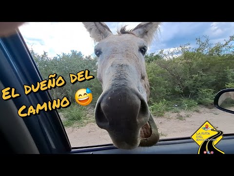 RUTA SERRANA 🏞 Agua de oro - La Cumbre - Cuchi Corral- San Marcos Sierras