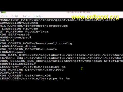 YouTube video about: Which command prints partial or full environment variables?