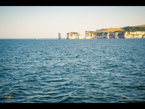 Play Video Youtube Video