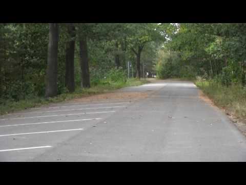 Entwicklungen am Scheibesee - ELSTERWELLE