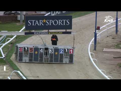 Coppice Tenzin   OXFORD STADIUM STANDARD