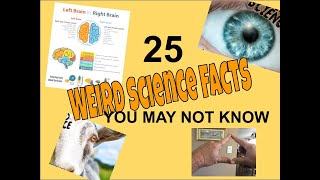 Science Facts So Weird They Seem Impossible