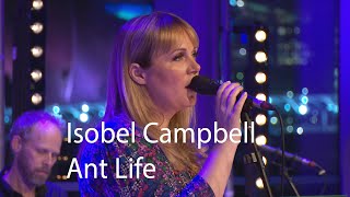 Isobel Campbell performs Ant Life live | Quay Sessions
