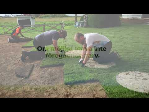 Oravais Turf AB – Anläggning av rullgräsmatta