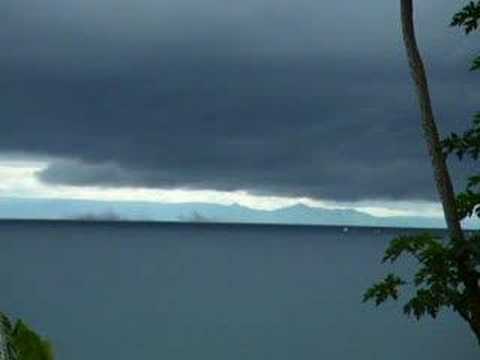 Lord of the Lake Flies