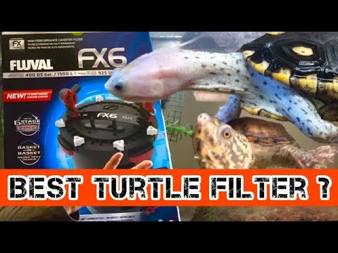 Best Turtle Water Filter?
