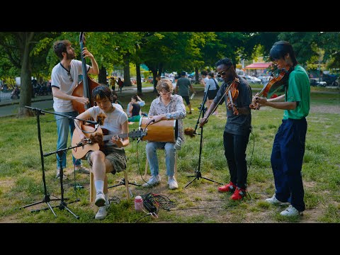 Mei Semones - Tegami | The Birdhouse