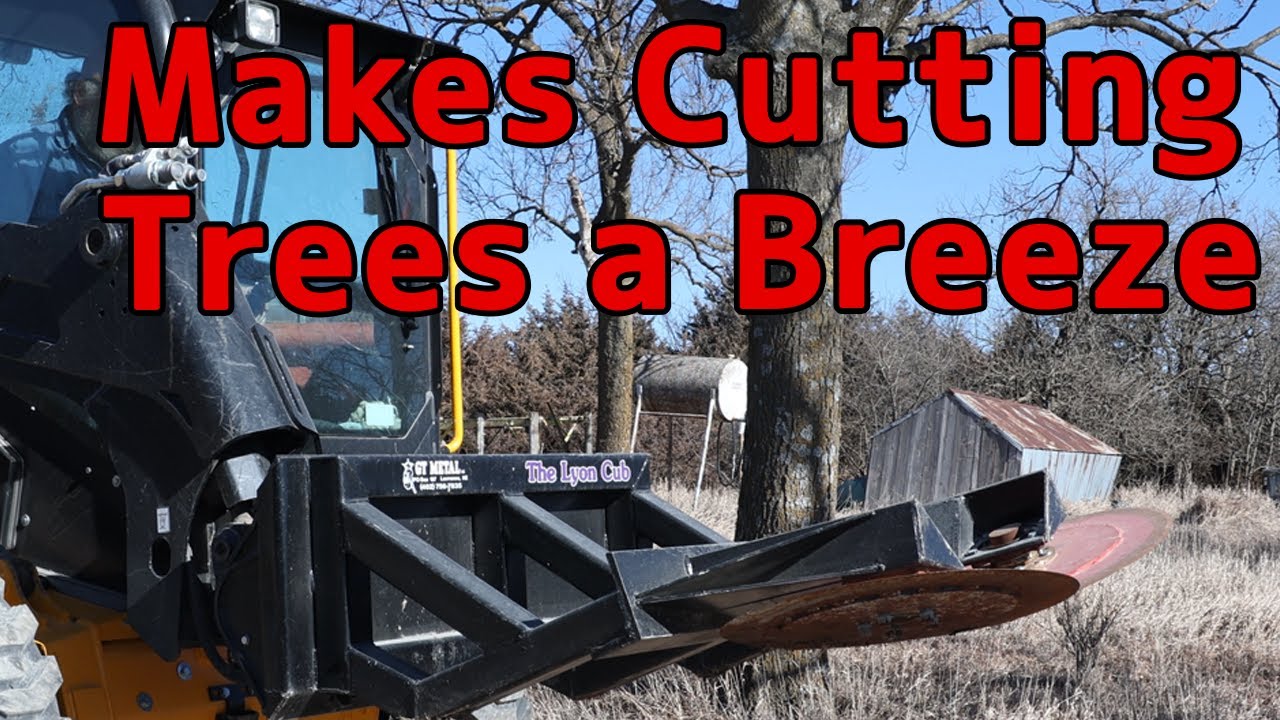 The Easiest Way to Remove Cedar Trees