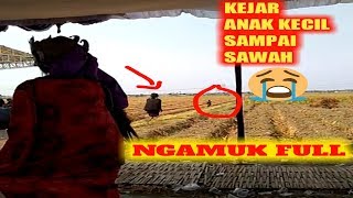 Download lagu Dawangan ngamuk kejar anak kecil sampai sawah mp3 Download lagu Dawangan ngamuk kejar anak kecil sampai sawah mp3