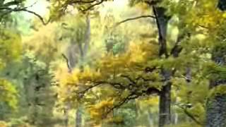 Time Waits For No One - The Friends Of Distinction