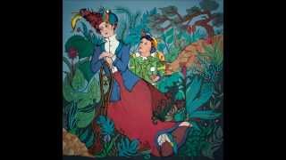 El Festival Vallenato - Meridian Brothers (Salvadora Robot)