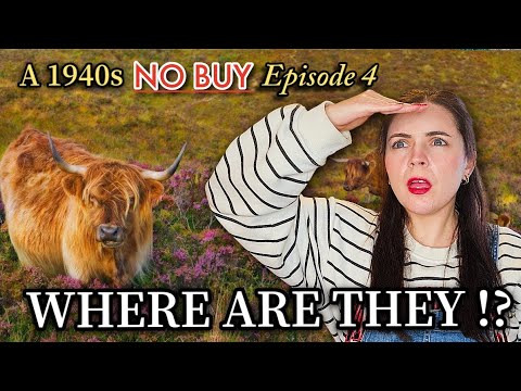 Gentle Frugal Living & Low Cost Adventures | No Buy January (Episode 4)