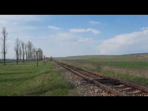 R16520 Iași - Dorohoi sosește în Halta Zlatunoaia(mecanic de nota 10 +++++++)