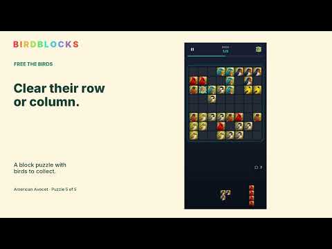 Birdblocks: Fun Flocks video thumbnail