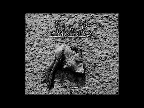 SALE FREUX - Rien qu'une danse avec les crapauds