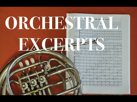 ORCHESTRAL EXCERPT for FRENCH HORN 2: Brahms  Symphony No. 1, 2nd Mvt.