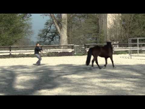 Elvira & Indy: Level 3 online