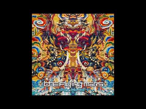 The Flying Mars - Cosmochemistry | Full Album