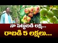 Organic Fruits and Vegetable Farming in FARM HOUSE | నా పెట్టుబడి లక్ష.. రాబడి 5