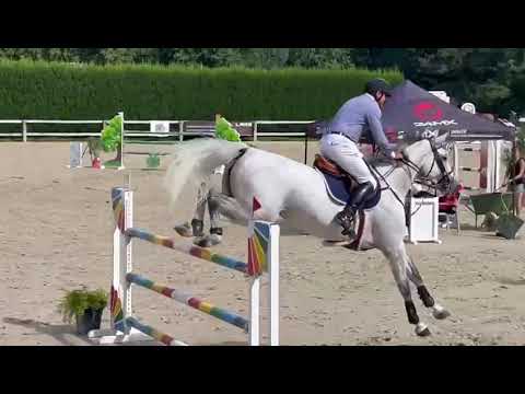 TINKERBEL DU MAILLET Z  2