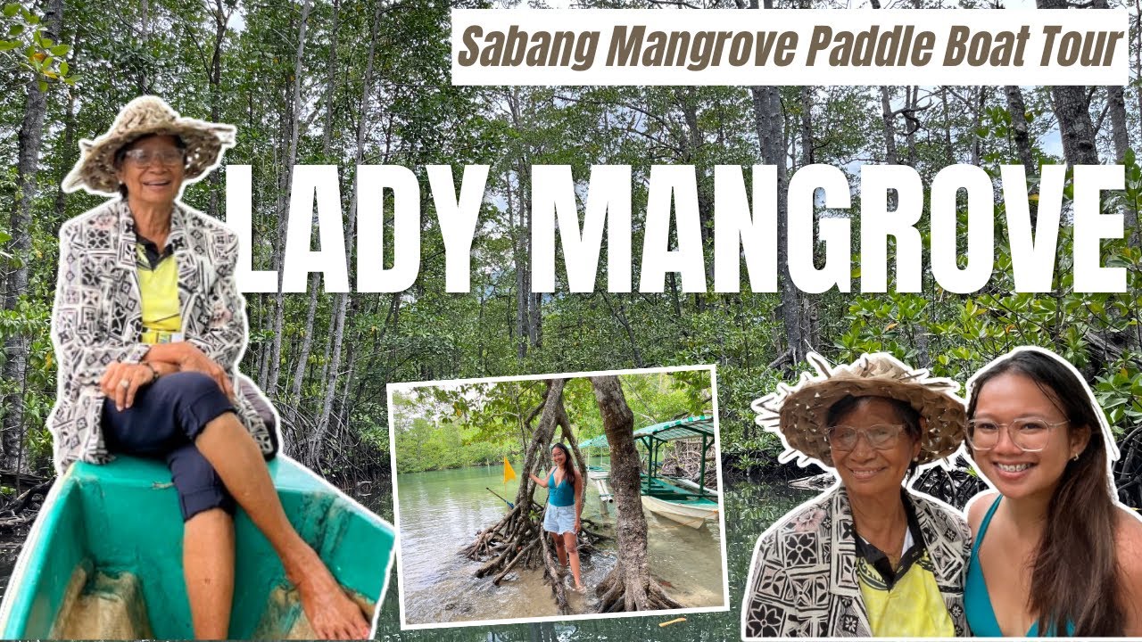 Embark on digital experience of Sabang Mangrove Paddle-Board Tour.