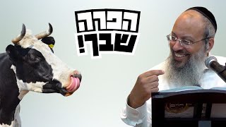 פרשת חקת | תפסיק לרצות את כולם | מה עושים כשאתה מלא פגמים וכאבים ᴴᴰ (הרב שי עטרי) - התמונה מוצגת ישירות מתוך אתר האינטרנט יוטיוב. זכויות היוצרים בתמונה שייכות ליוצרה. קישור קרדיט למקור התוכן נמצא בתוך דף הסרטון