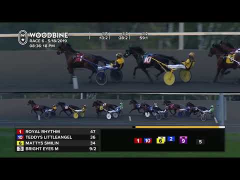 2019 SBOA Trot Final: Woodbine, Mohawk Park: May 18, 2019 - Race 6