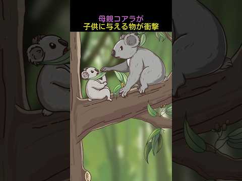 母親コアラが子供に与える物が衝撃