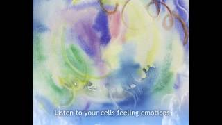 Gratitude   Emiliano Toso