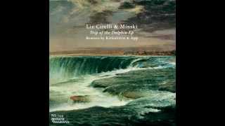 Liz Cirelli & Minski - Trip of the Dolphin (Original Mix)