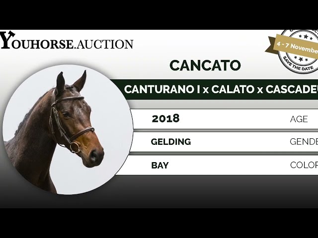 Cancato @ show