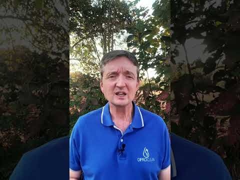 Vidéo YouTube 13