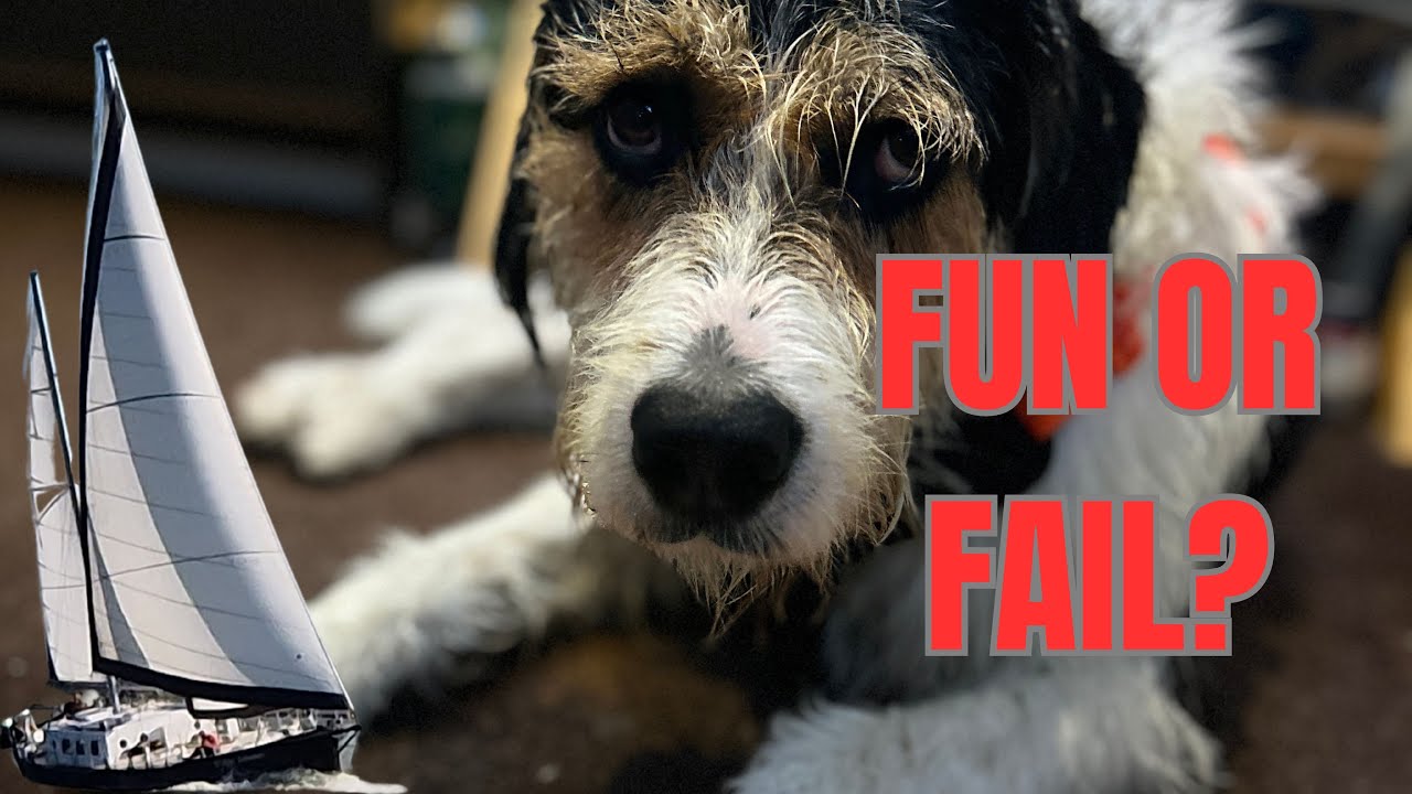 Step 39 Sailing Willem Johannes | Are we having fun yet?