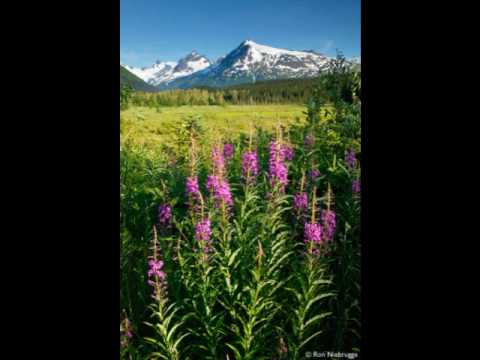 OMEA District 1 Honors Choir "Tanzen Und Springen" 2006