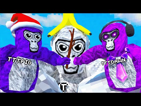 The BEST Gorilla Tag Player EVER!