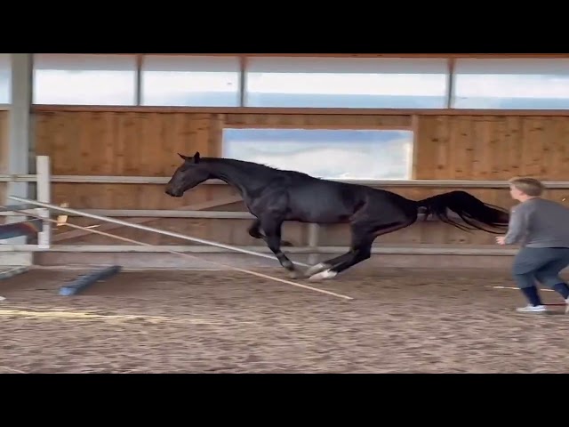 ✨ Maybe Manathis ✨