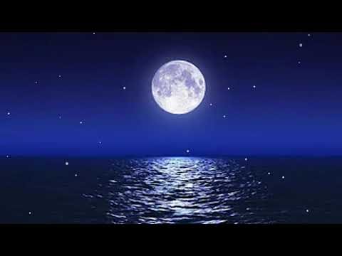 Sleep Music With Ocean and Jungle Sounds – Relaxing Blue Screen Scene – Ocean and Full Moon