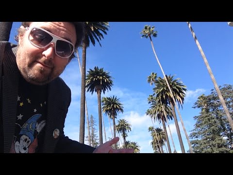 TDW 1276 - Down and Out in Beverly Hills