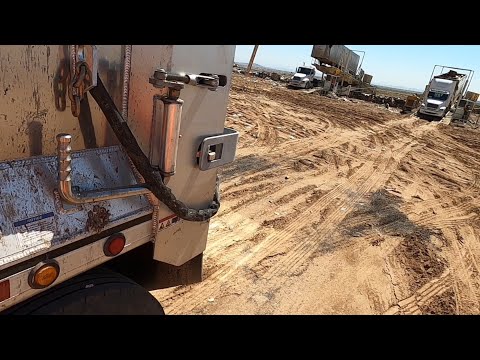 Second go with a walking floor trailer on the tipper!  @haulintrash  #truckingvlogs