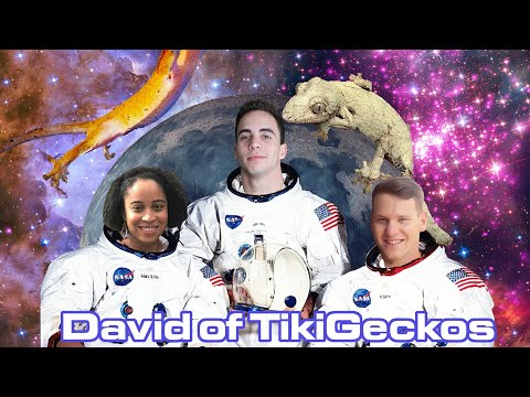 DAVID FROM TIKISGECKOS - FROM THE GROUND UP 39