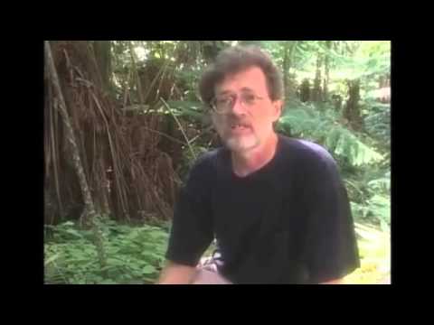 An overview of Novelty Theory (Terence Mckenna)