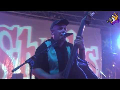 ▲Sharks - Short shark shock - Pineda 2013 - Psychobilly Meeting