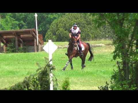 Matti Luciani - Leopold K - CIC*** - Dunakeszi-Alag 2016