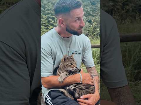 Meine Waldfreundin🥹🐈🤍 #katzen #liebe #wald